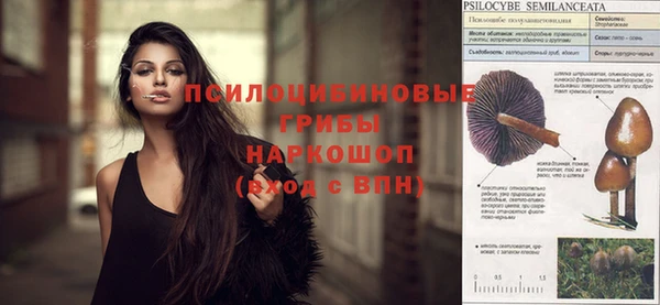 кокаин Богданович