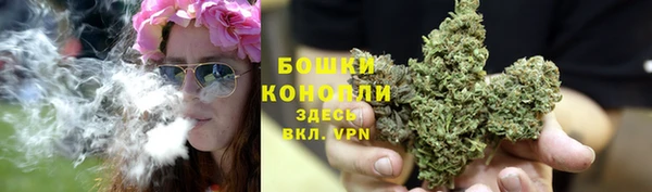кокаин Богданович